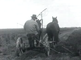 Hay harvest